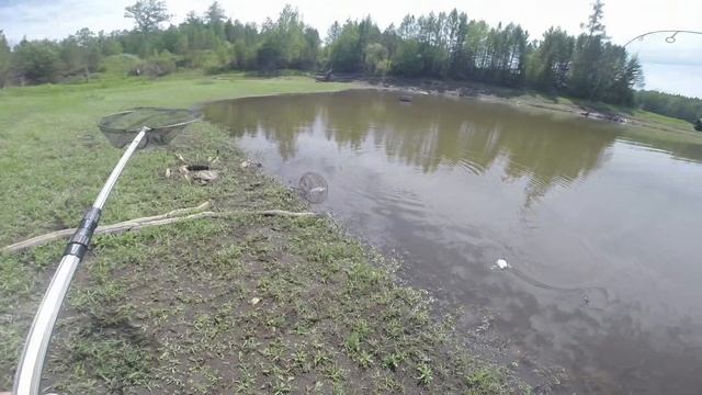 Карась сходит с ума от мормышинга! Мормышинг на Братском море. Монстры гнут и ломают крючки!!!