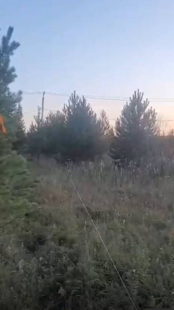 WhatsApp Video 2025-09-24 at 19.54.03