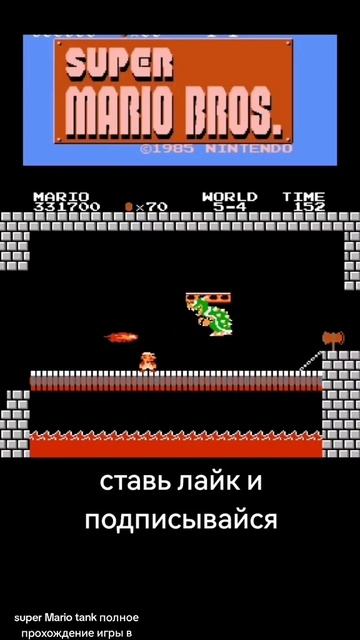 Mario