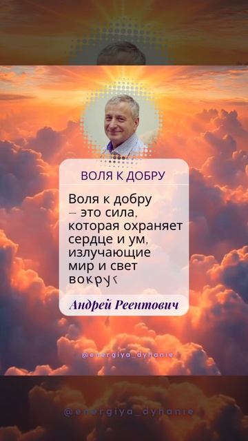 Солнечные рекомендации. Воля к добру. Свобода. Андрей Реентович