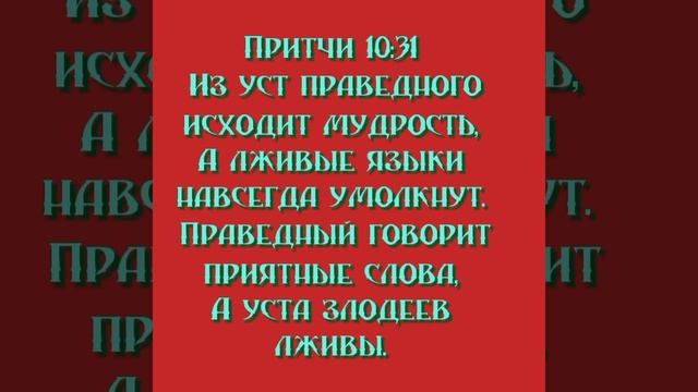 YouCut_20251012_085435807.mp4