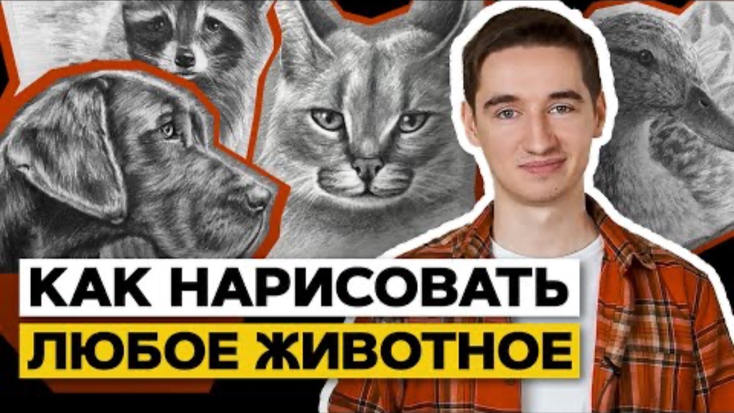 Как научиться рисовать любое животное?  |  Лайфхаки от художника