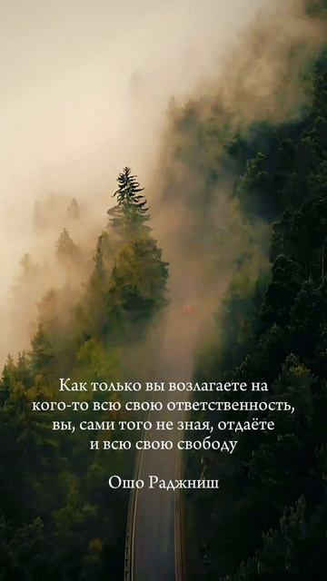 Цитата на сесегодня