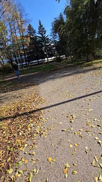 Новокузнецкий цирк 12-10-2025