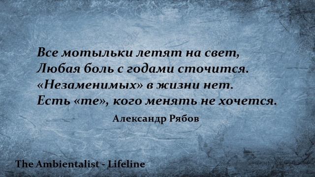 The Ambientalist - Lifeline