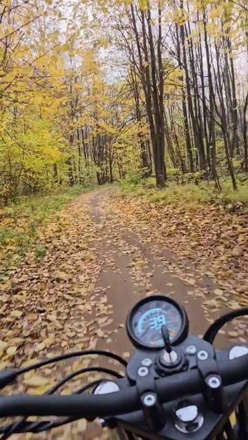 Покатушки по осеннему лесу на мотоцикле #scrambler