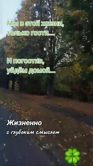 Мы в этой жизни только гости
