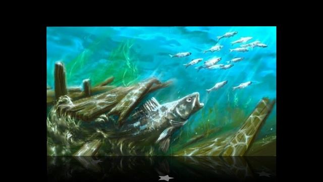 Комби-ролики ! (11)