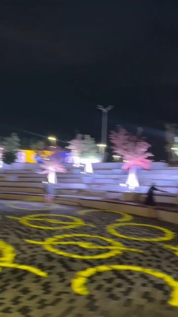 1000300256.mp4
