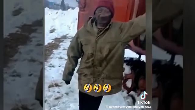 тик ток