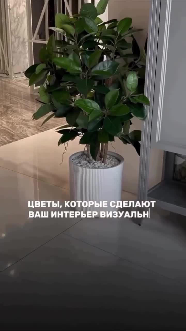Подборка цветов которые сделают ваш интерьер визуально дороже