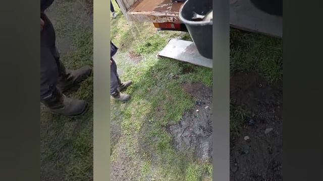 235.mp4