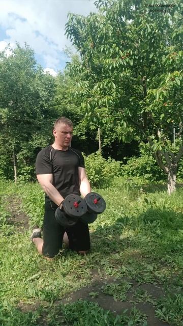 Упражнения на мышцы кора,рук,плеч,спины #shorts #workout #fitness #calisthenics #abs