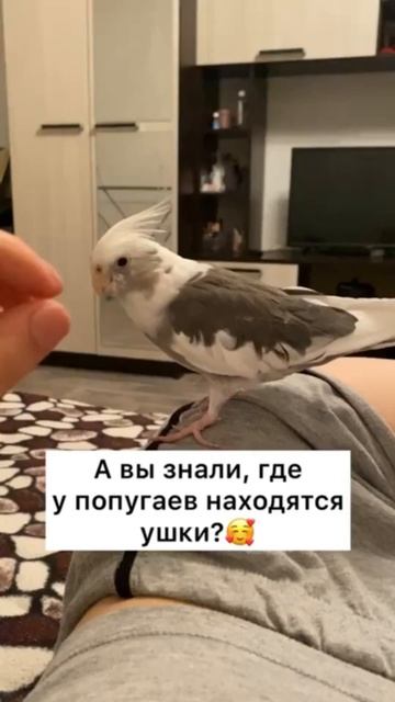 А вы знали это?