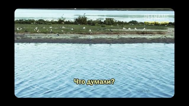 БАБУШКА ПРИНЯЛА НАС КАК СЕМЬЮ... А МЫ ПРИШЛИ ЗА ЕЁ КВАРТИРОЙ. Слушать аудиорассказ