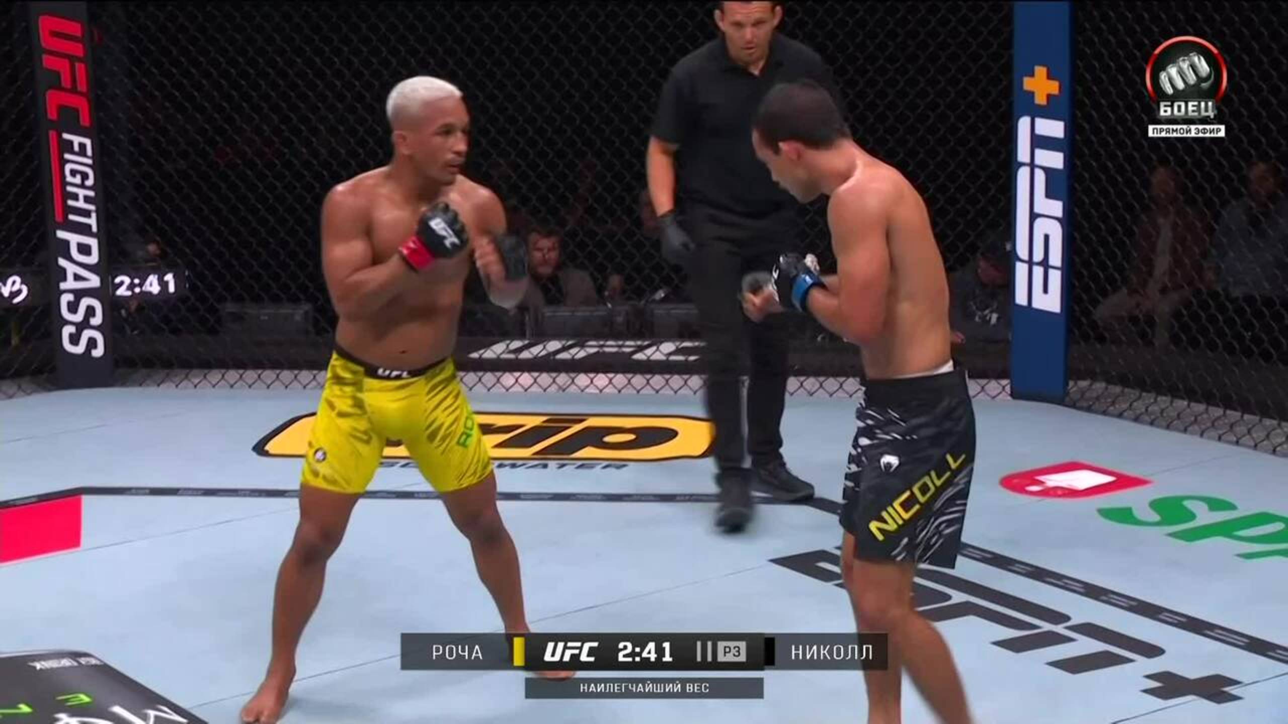 Лукас Роча против Стюарта Николла видео. UFC Fight Night