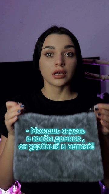 А где сидят ваши питомцы?