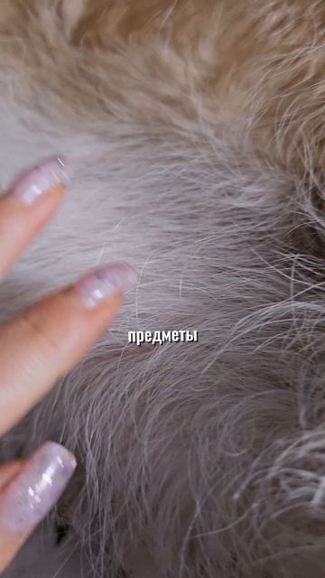 Дорогое содержание 😁