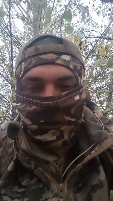 Быть дню Штурмовика! (Стихи)