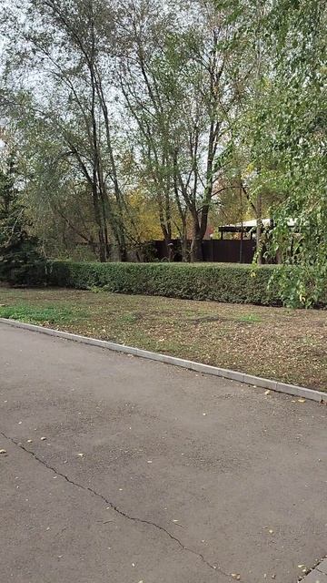 По локации парка Максима Горького