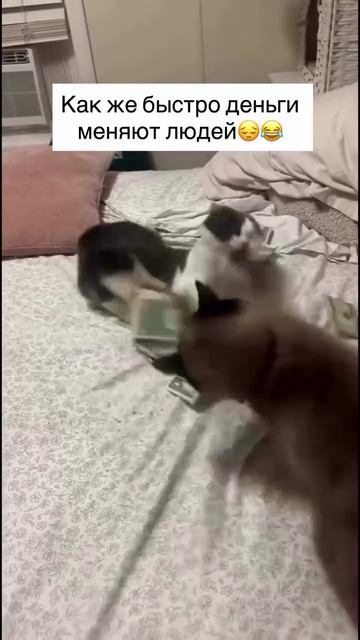 Продажный