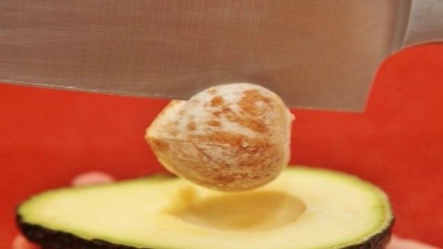 Салат из авокадо с помидорами и сыром
