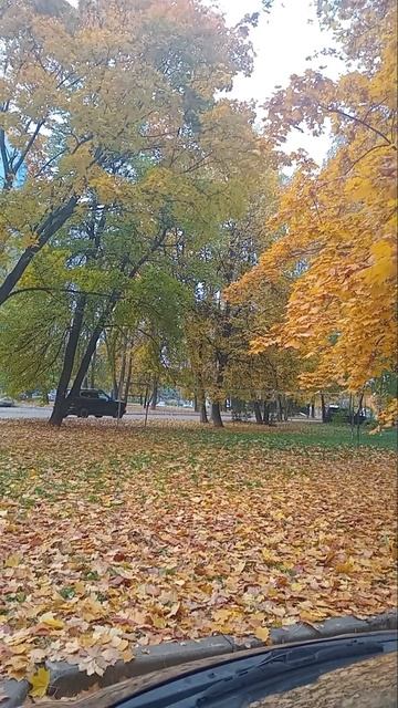 Осень