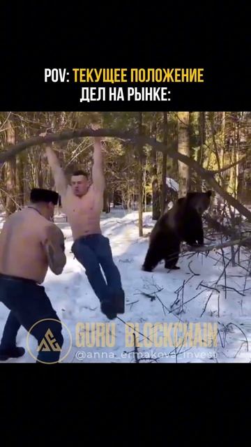 Текущее положение дел на рынке