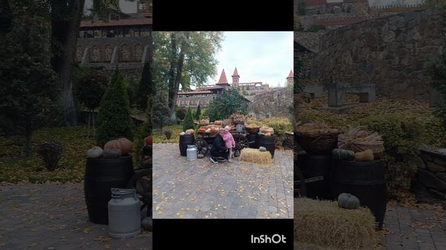 1000090785.mp4