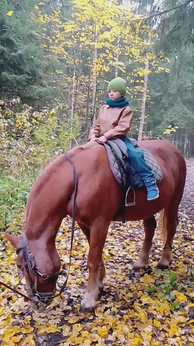 Конный клуб Бородино 11.10.2025