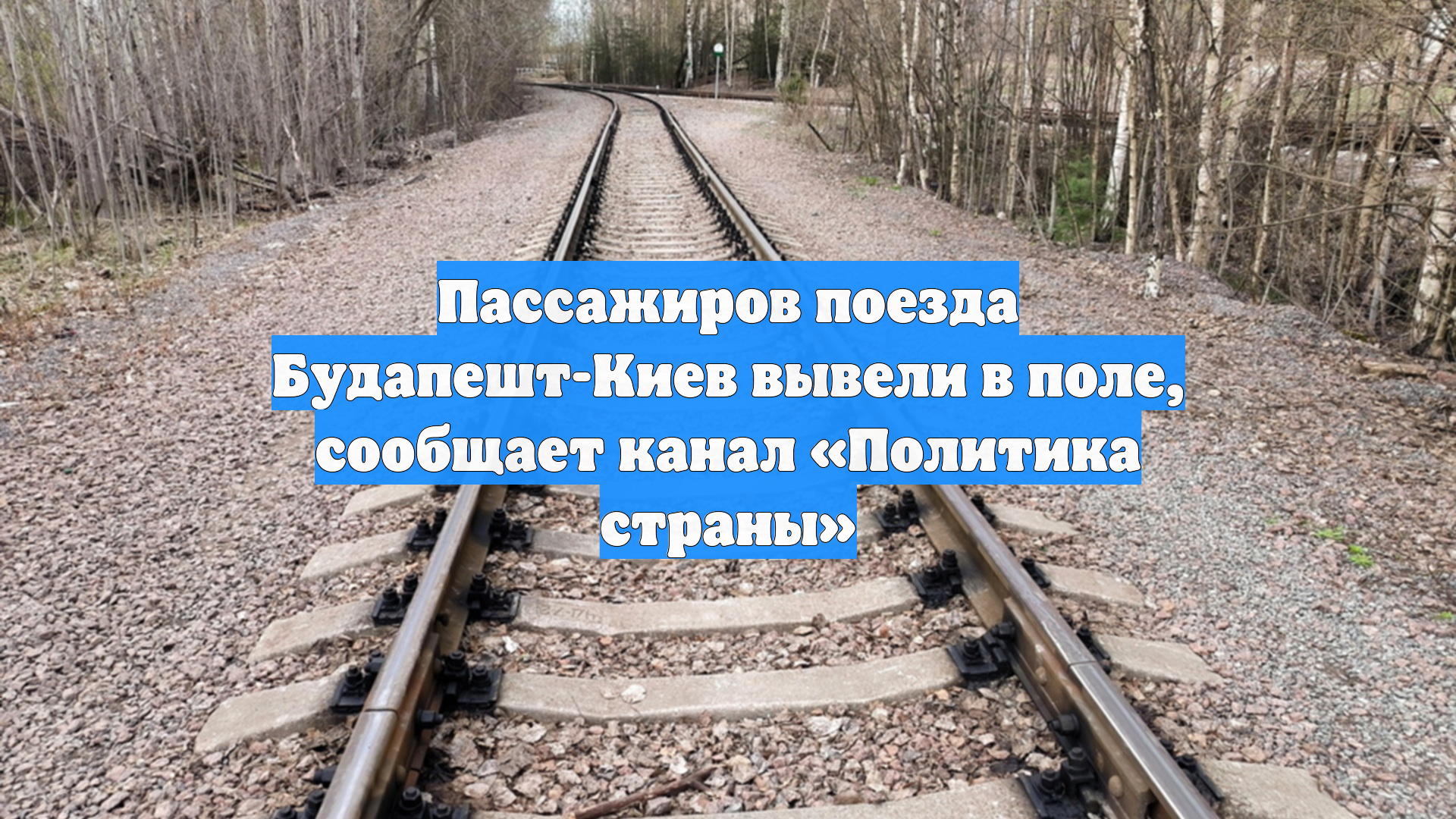 Пассажиров поезда Будапешт-Киев вывели в поле, сообщает канал «Политика страны»