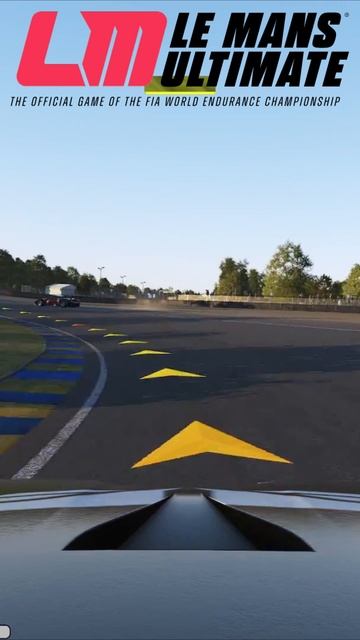 Le Mans Ultimate как можно в это играть