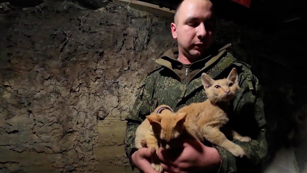 Бойцы ВС РФ показали своих питомцев в зоне СВО