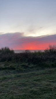 Съездили на рыбалку 🎣 #река #речка #рыбалка #природа #деревня #жизньвдеревне #нарыбалке #нарыбалку