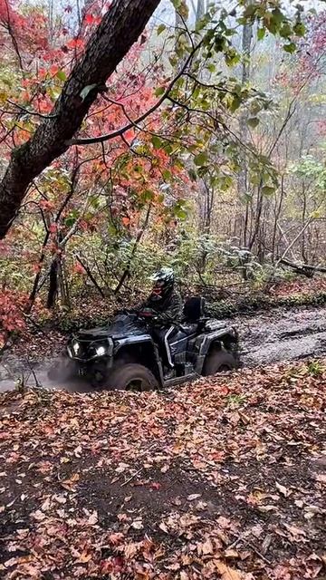ПРОХВАТ ОТ  @motosnab  #motosnab #automobile #sharmax #biker #motovlog #scross #offroad #4x4 #atv