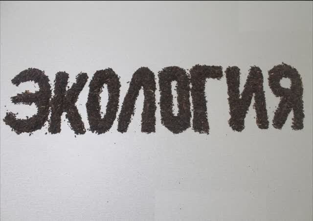 Экология 2019