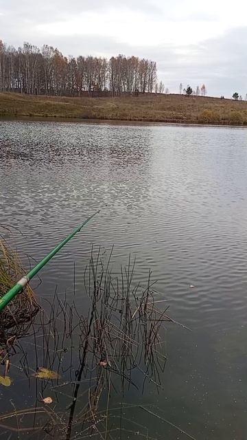 1000007259.mp4