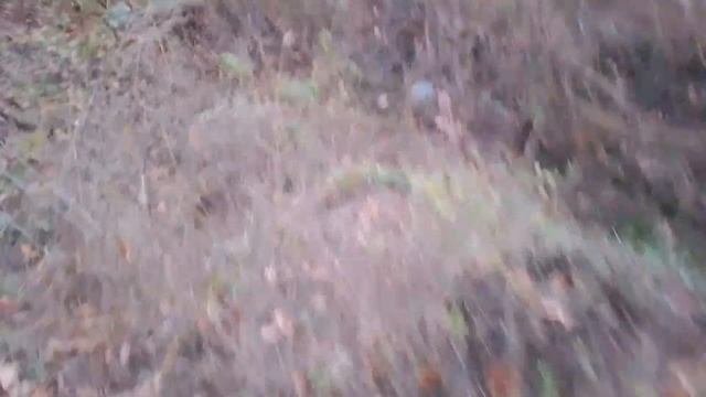 Зона сталкера.Часть 2