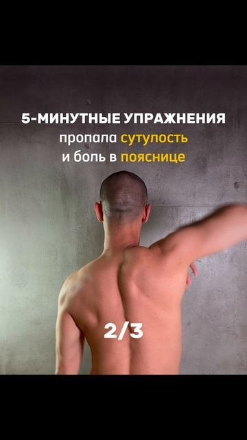 Https://t.me/fitstyler_bot?start=spina