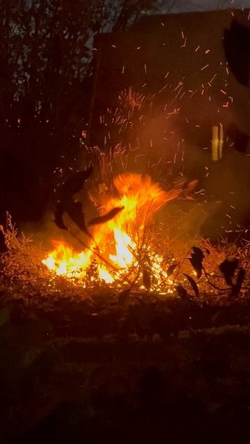 Живая энергия 🔥