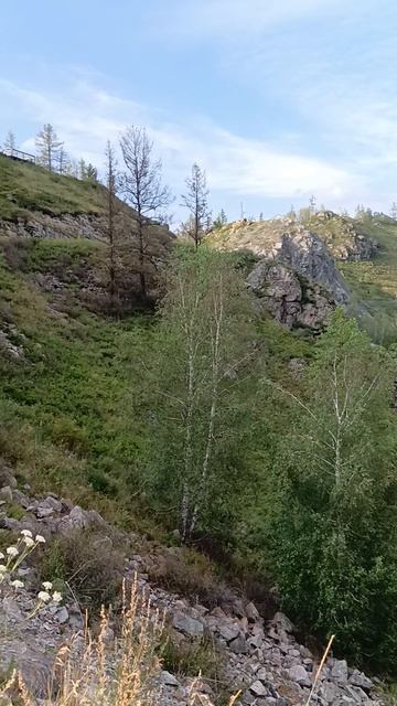 Горный Алтай