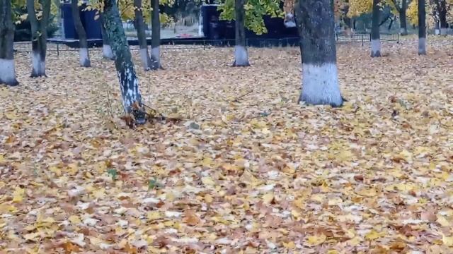 Осень деревенский мотив