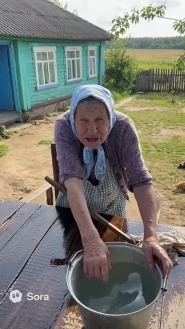 Лайк за чистоту бабка лайк чистота жизнь деревня sora ии funny мем юмор memes