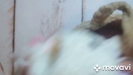 отчёт по с.п. ,,Вяжем играя 🧶,, 13 тур финиш