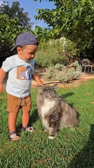 VID_20251012_071547_646.mp4