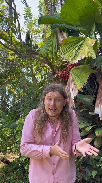 Купили бы такой 😅