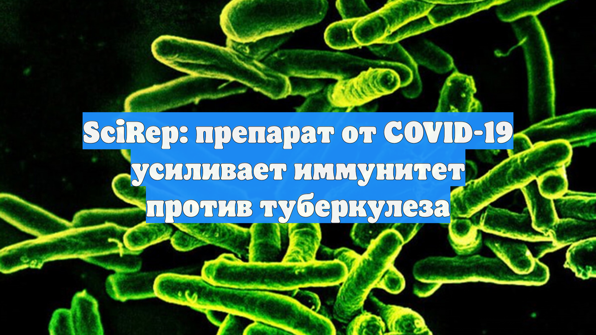 SciRep: препарат от COVID-19 усиливает иммунитет против туберкулеза