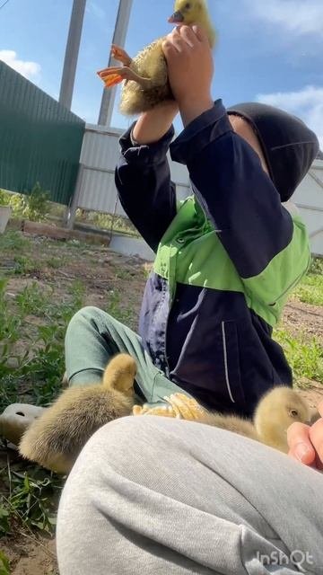 Будущий Король