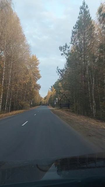 Золотая осень. Октябрь.