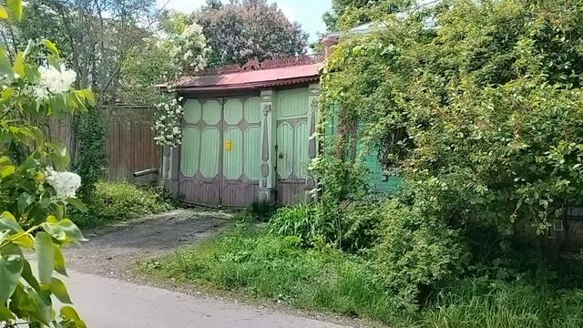 1000035941.mp4